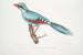 Chasse au corbeau Kitta venatorius - John Edward Gray — Ansicht des Kunstwerks