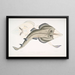 Rhinobate armé indien - John Edward Gray — gerahmtes Bild an der Wand