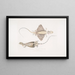 Drache mit kurzem Maul Draco abbreviata aus Singapur - John Edward Gray — gerahmtes Bild an der Wand