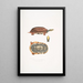 Tortue-boîte à trois bandes Cistuda trifasciata - John Edward Gray — gerahmtes Bild an der Wand