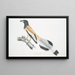 Weigler Rufons Pie Pica Vagabunda indigènes de Calcutta - John Edward Gray — gerahmtes Bild an der Wand