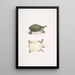 Junge Trionyx valvulaire Trionyx punctata junior - John Edward Gray — gerahmtes Bild an der Wand