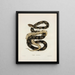 Pituophis melanoleucus - John Edwards Holbrook — gerahmtes Bild an der Wand