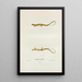 Salamandre longicaude - John Edwards Holbrook — gerahmtes Bild an der Wand