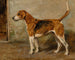 Ringwood - John Emms — Ansicht des Kunstwerks