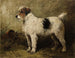 Terrier in einem Garten - John Emms — Ansicht des Kunstwerks