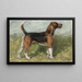 Tomboy, ein Beagle in einer Landschaft - John Emms — gerahmtes Bild an der Wand