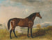Rodolphe, ein Jagdross in einer weiten Landschaft - John Ferneley — Ansicht des Kunstwerks