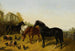 Pferde und Hühner - John Frederick Herring Jr. — Ansicht des Kunstwerks