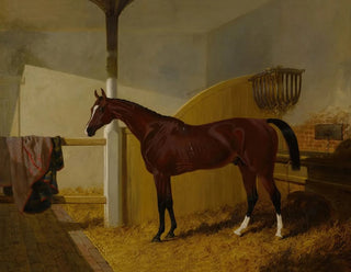 John Frederick Herring Snr - Colonel Peels Orlando in a Stable.webp