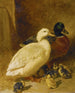 Enten und Entenküken - John Frederick Herring l'Ancien — Ansicht des Kunstwerks