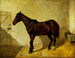 Pferd - John Frederick Herring l'Ancien — Ansicht des Kunstwerks