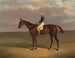 Margrave mit James Robinson Up - John Frederick Herring der Ältere — Ansicht des Kunstwerks