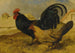 Die Bauernhof - John Frederick Herring der Ältere — Ansicht des Kunstwerks