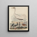 Louisianischer Heron, Austernfischer, Kiebitz, Kranich im Ring und Langschnabelregenpfeifer - John G. Warnicke — gerahmtes Bild an der Wand