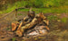 Camp im Vermont - John George Brown — Ansicht des Kunstwerks