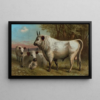John George Wood - Chillingham Cattle.webp