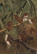 Mäuse der Ernte - John George Wood — Ansicht des Kunstwerks
