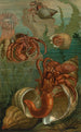 Bernard-l'ermite - John George Wood — Ansicht des Kunstwerks