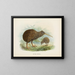 Apteryx von Mantell - John Gerrard Keulemans — gerahmtes Bild an der Wand