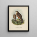 Hieracidea Neuseeland Erwachsene und Junge - John Gerrard Keulemans — gerahmtes Bild an der Wand
