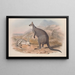 Eine Monographie der Macropodidae oder Familie der Kängurus Pl05 - John Gould — gerahmtes Bild an der Wand
