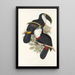 Eine Monographie der Ramphastidae oder Familie der Tukanen Pl01 - John Gould — gerahmtes Bild an der Wand