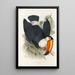 Eine Monographie der Ramphastidae oder Familie der Tukanen Pl06 - John Gould — gerahmtes Bild an der Wand
