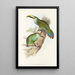 Eine Monographie der Ramphastidae oder Familie der Tukanen Pl29 - John Gould — gerahmtes Bild an der Wand