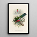 Eine Monographie der Trogonidae oder Familie der Trogons Pl37 - John Gould — gerahmtes Bild an der Wand