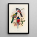 Eine Monographie der Trogonidae oder Familie der Trogons Pl42 - John Gould — gerahmtes Bild an der Wand