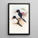 Martin-Pêcheur à tête noire - John Gould — gerahmtes Bild an der Wand