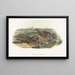 Europäisches Nachtschwalbengemälde - John Gould — gerahmtes Bild an der Wand