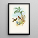 Clytolaema aurescens - John Gould — gerahmtes Bild an der Wand