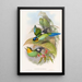 Eurylaime de Dalhousie - John Gould — gerahmtes Bild an der Wand