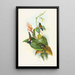Eriocnemis cupreiventris - John Gould — gerahmtes Bild an der Wand
