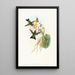 Eriocnemis vestitus - John Gould — gerahmtes Bild an der Wand
