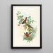 Helianthea eos - John Gould — gerahmtes Bild an der Wand
