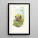 Hylocharis lactea - John Gould — gerahmtes Bild an der Wand
