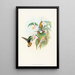 Lafresnaya flavicaudata - John Gould — gerahmtes Bild an der Wand