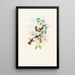 Lophornas reginae - John Gould — gerahmtes Bild an der Wand