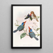 Martin-pêcheur multicolore - John Gould — gerahmtes Bild an der Wand