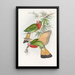 Nyctiornis à gorge rouge - John Gould — gerahmtes Bild an der Wand
