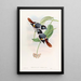 Broadbill de Steere - John Gould — gerahmtes Bild an der Wand