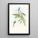 Tharmastura enicura - John Gould — gerahmtes Bild an der Wand