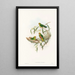 Die Vögel Neuguineas und der angrenzenden Papuas-Inseln Pl21 - John Gould — gerahmtes Bild an der Wand