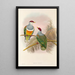 Die Vögel von Neuguinea und den angrenzenden Papua-Inseln Pl55 - John Gould — gerahmtes Bild an der Wand