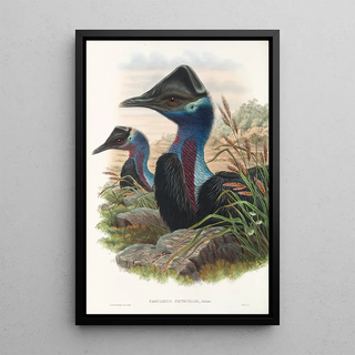 John Gould - The Birds of New Guinea and the adjacent Papuan islands Pl74.webp