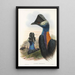Die Vögel von Neuguinea und den angrenzenden Papuas-Inseln Pl75 - John Gould — gerahmtes Bild an der Wand
