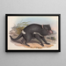 Die Säugetiere Australiens Pl027 - John Gould — gerahmtes Bild an der Wand